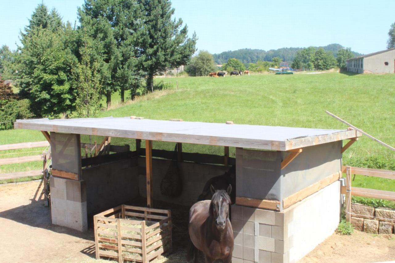 Ferienwohnung Feldblick Struppen 外观 照片